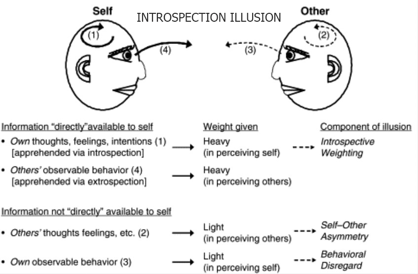 Introspection Illusion illustrations