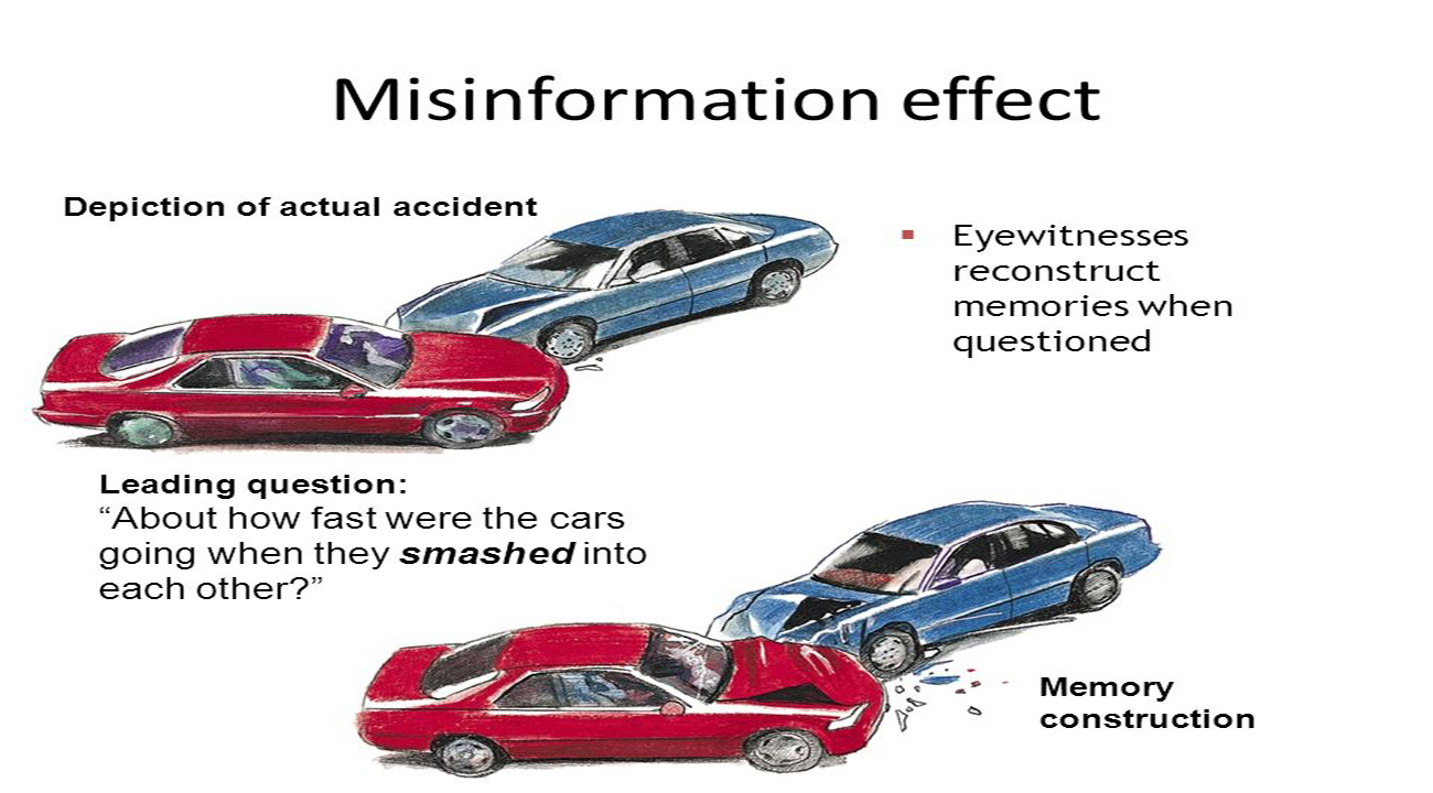 Misinformation Effect illustrations
